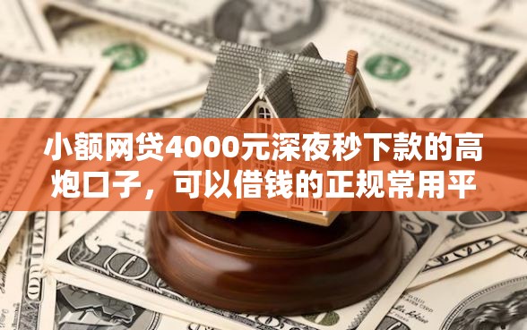 小额网贷4000元深夜秒下款的高炮口子，可以借钱的正规常用平台的6个平台介绍