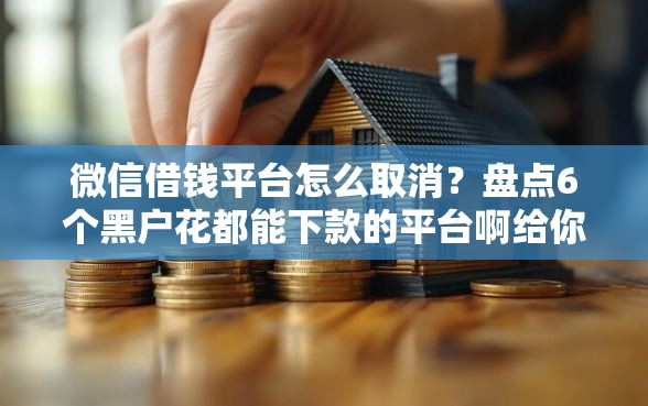 微信借钱平台怎么取消？盘点6个黑户花都能下款的平台啊给你参考