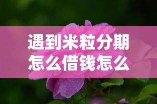 遇到米粒分期怎么借钱怎么办？或可尝试这6个类似葫芦花借款的平台