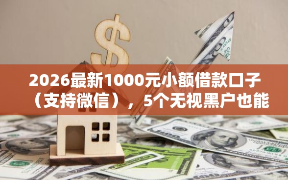 2026最新1000元小额借款口子（支持微信），5个无视黑户也能下款的口子无私分享
