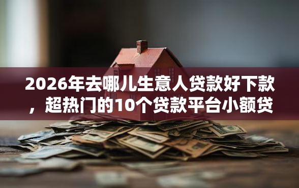 2026年去哪儿生意人贷款好下款，超热门的10个贷款平台小额贷款推荐