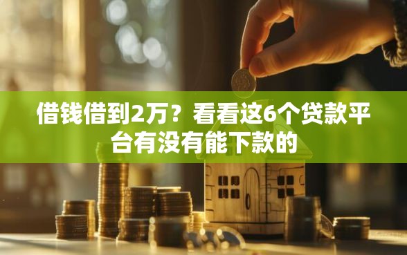 借钱借到2万？看看这6个贷款平台有没有能下款的