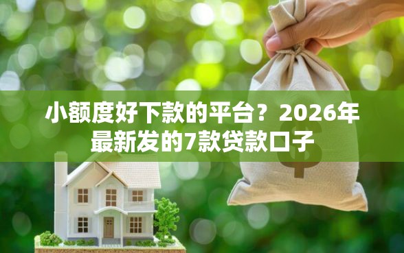 小额度好下款的平台？2026年最新发的7款贷款口子