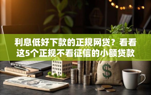 利息低好下款的正规网贷？看看这5个正规不看征信的小额贷款口子怎么样