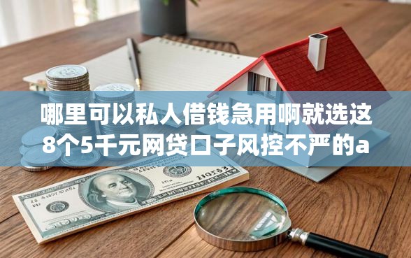 哪里可以私人借钱急用啊就选这8个5千元网贷口子风控不严的app