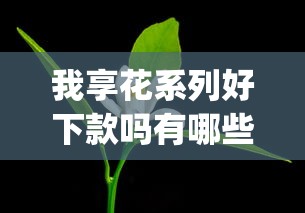 我享花系列好下款吗有哪些？10个无视黑白户网贷app推荐给你