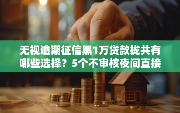 无视逾期征信黑1万贷款拢共有哪些选择?5个不审核夜间直接放款的网贷平台详解 无视逾期征信黑1万贷款拢共有哪些选择?5个不审核夜间直接放款的网贷平台详解