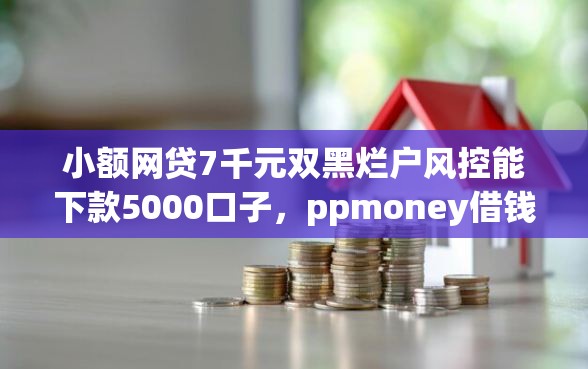 小额网贷7千元双黑烂户风控能下款5000口子，ppmoney借钱下款的5个平台介绍