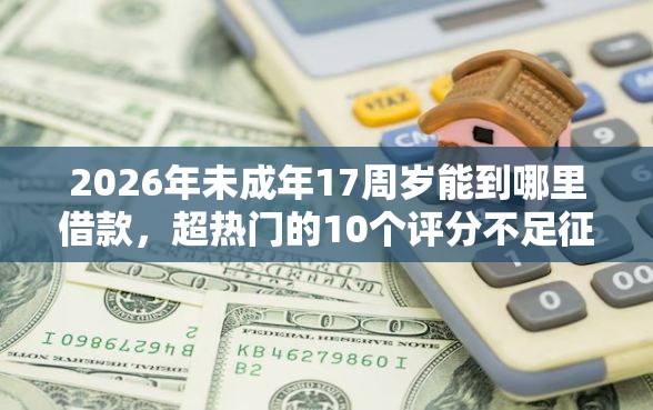 2026年未成年17周岁能到哪里借款，超热门的10个评分不足征信花可以借的平台推荐