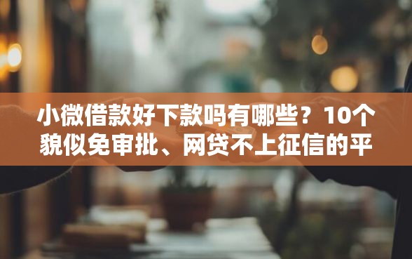 小微借款好下款吗有哪些?10个貌似免审批、网贷不上征信的平台合集 小微借款好下款吗有哪些?10个貌似免审批、网贷不上征信的平台合集