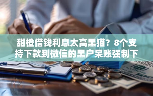 甜橙借钱利息太高黑猫？8个支持下款到微信的黑户呆账强制下款的软件