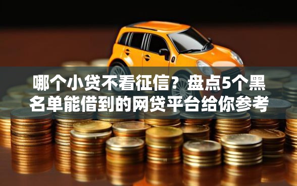 哪个小贷不看征信？盘点5个黑名单能借到的网贷平台给你参考