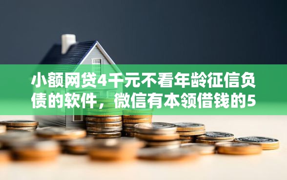 小额网贷4千元不看年龄征信负债的软件，微信有本领借钱的5个平台介绍