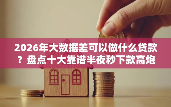 2026年大数据差可以做什么贷款？盘点十大靠谱半夜秒下款高炮口子
