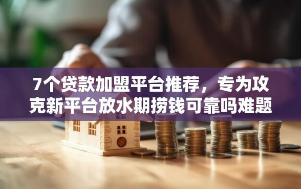 7个贷款加盟平台推荐，专为攻克新平台放水期捞钱可靠吗难题