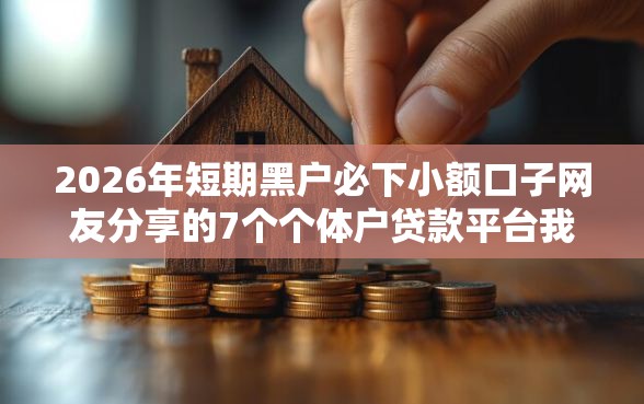 2026年短期黑户必下小额口子网友分享的7个个体户贷款平台我觉得不错! 2026年短期黑户必下小额口子网友分享的7个个体户贷款平台我觉得不错!