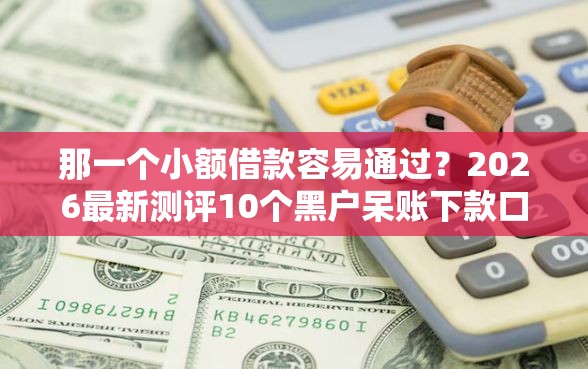 那一个小额借款容易通过？2026最新测评10个黑户呆账下款口子