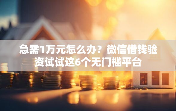 急需1万元怎么办？微信借钱验资试试这6个无门槛平台