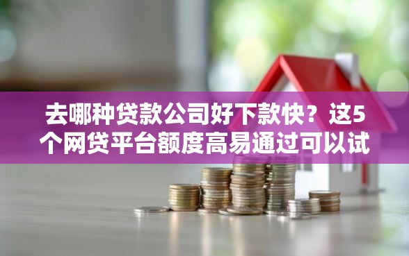 去哪种贷款公司好下款快？这5个网贷平台额度高易通过可以试试