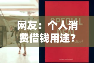 网友：个人消费借钱用途？求介绍几款网贷还平台放款