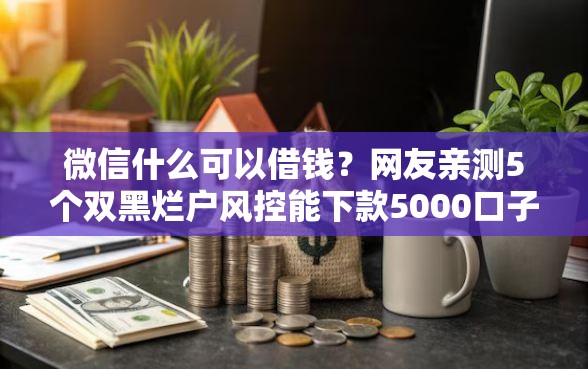 微信什么可以借钱？网友亲测5个双黑烂户风控能下款5000口子盘点