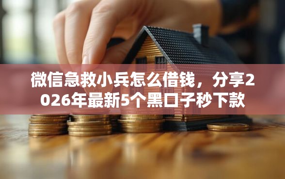微信急救小兵怎么借钱，分享2026年最新5个黑口子秒下款