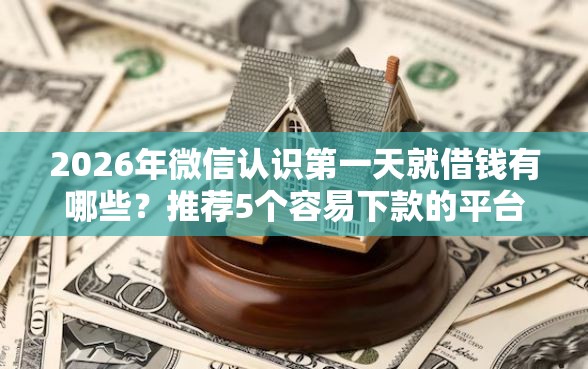 2026年微信认识第一天就借钱有哪些？推荐5个容易下款的平台