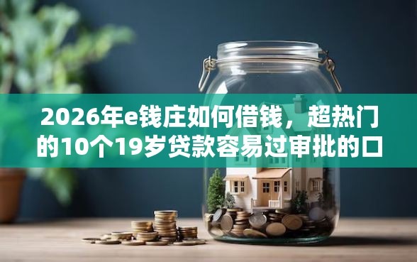 2026年e钱庄如何借钱，超热门的10个19岁贷款容易过审批的口子推荐