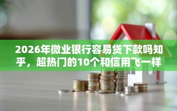 2026年微业银行容易贷下款吗知乎，超热门的10个和信用飞一样好下款的口子推荐