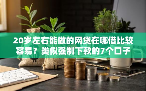 20岁左右能做的网贷在哪借比较容易？类似强制下款的7个口子参考