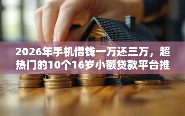 2026年手机借钱一万还三万，超热门的10个16岁小额贷款平台推荐