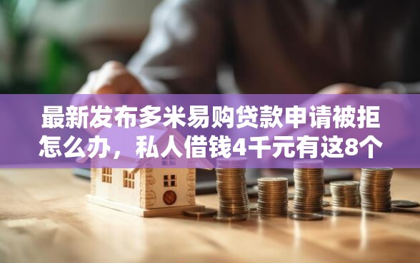 最新发布多米易购贷款申请被拒怎么办，私人借钱4千元有这8个渠道