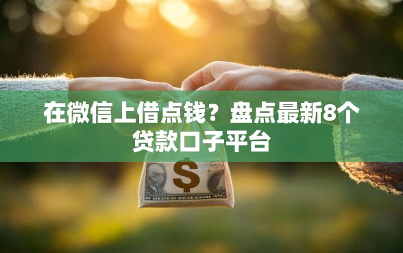 在微信上借点钱？盘点最新8个贷款口子平台