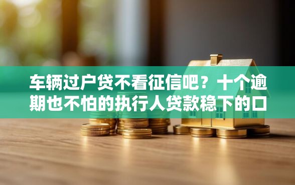 车辆过户贷不看征信吧？十个逾期也不怕的执行人贷款稳下的口子