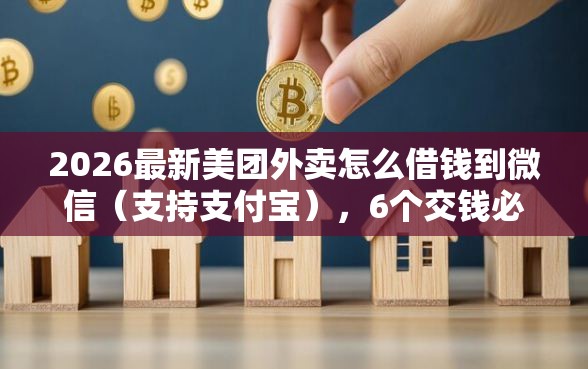 2026最新美团外卖怎么借钱到微信（支持支付宝），6个交钱必通过的借钱平台无私分享