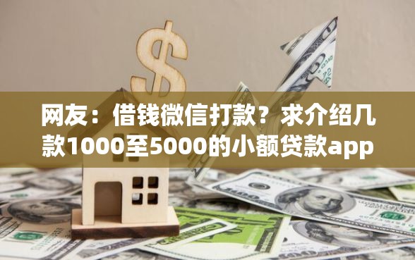 网友：借钱微信打款？求介绍几款1000至5000的小额贷款app