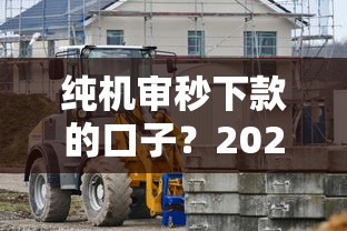 纯机审秒下款的口子？2026最新测评10个21岁借钱的平台100%能借到