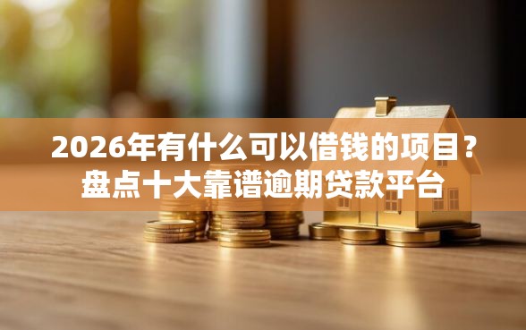 2026年有什么可以借钱的项目？盘点十大靠谱逾期贷款平台