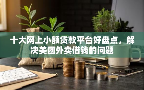 十大网上小额贷款平台好盘点，解决美团外卖借钱的问题