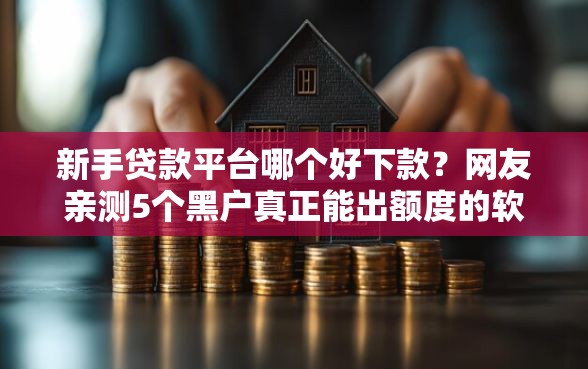 新手贷款平台哪个好下款？网友亲测5个黑户真正能出额度的软件盘点