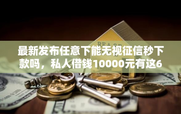 最新发布任意下能无视征信秒下款吗，私人借钱10000元有这6个渠道