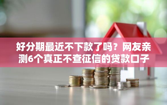好分期最近不下款了吗？网友亲测6个真正不查征信的贷款口子盘点