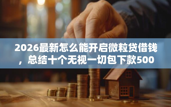 2026最新怎么能开启微粒贷借钱，总结十个无视一切包下款5000秒下款的平台！