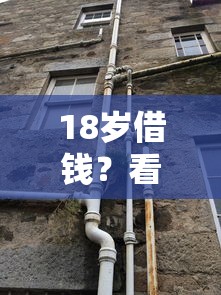 18岁借钱？看看这5个黑户高炮口子怎么样