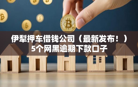 伊犁押车借钱公司（最新发布！）5个网黑逾期下款口子