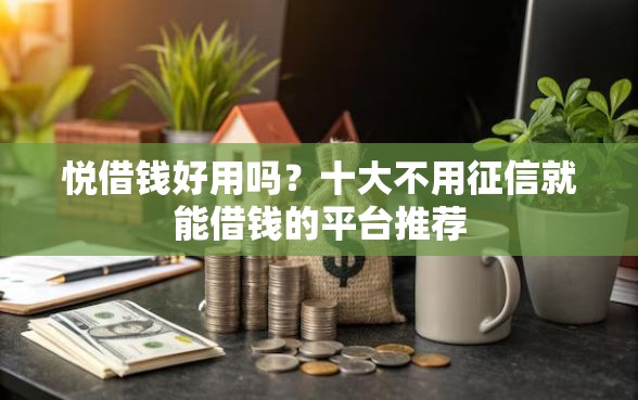悦借钱好用吗？十大不用征信就能借钱的平台推荐