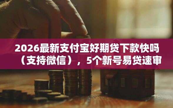 2026最新支付宝好期贷下款快吗（支持微信），5个新号易贷速审秒下款平台无私分享