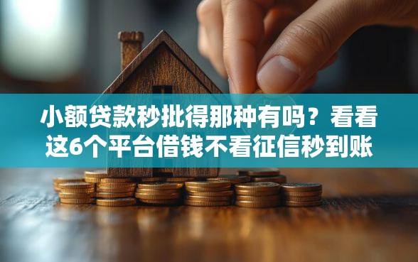 小额贷款秒批得那种有吗？看看这6个平台借钱不看征信秒到账怎么样