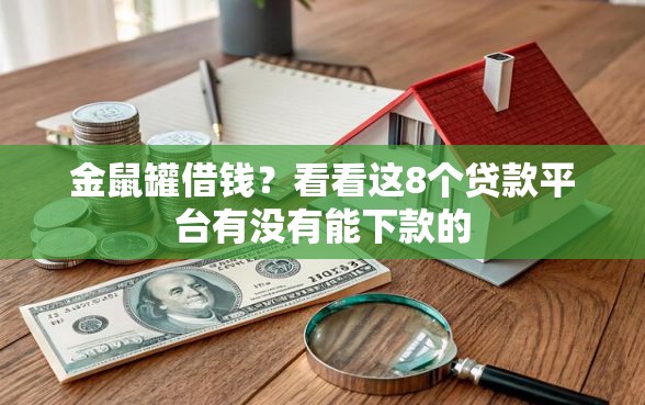 金鼠罐借钱？看看这8个贷款平台有没有能下款的