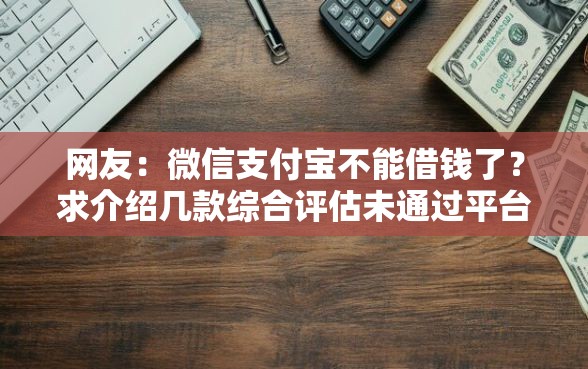 网友：微信支付宝不能借钱了？求介绍几款综合评估未通过平台可以借钱